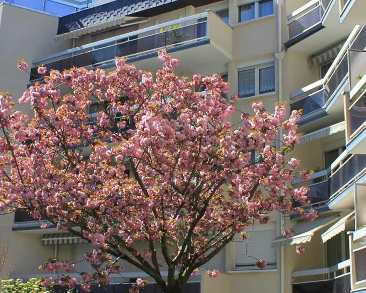 Résidence service senior Tours