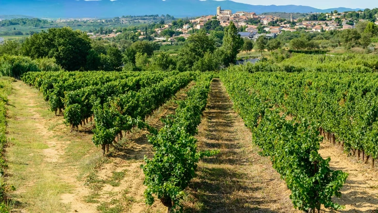 Béziers, une ville riche en histoire