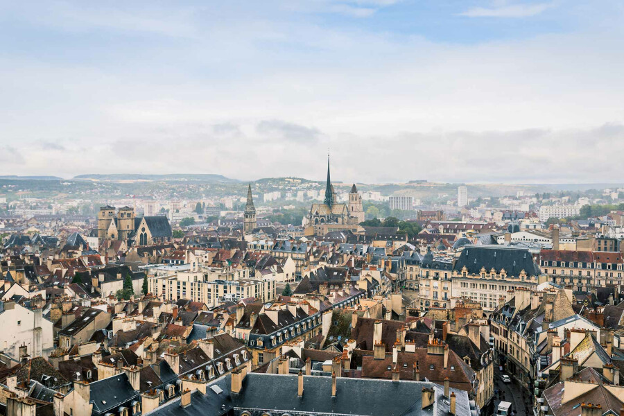 dijon.jpg