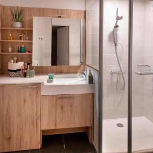 t2-salle-de-bain.jpg