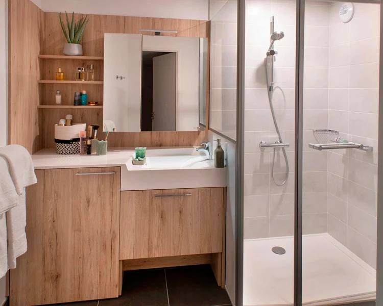t2-salle-de-bain.jpg