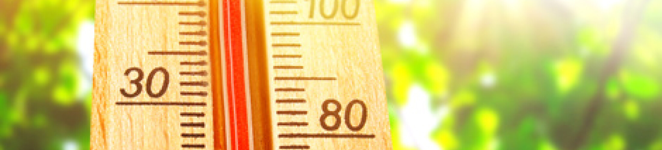 Seniors : comment se protéger de la chaleur cet été ?