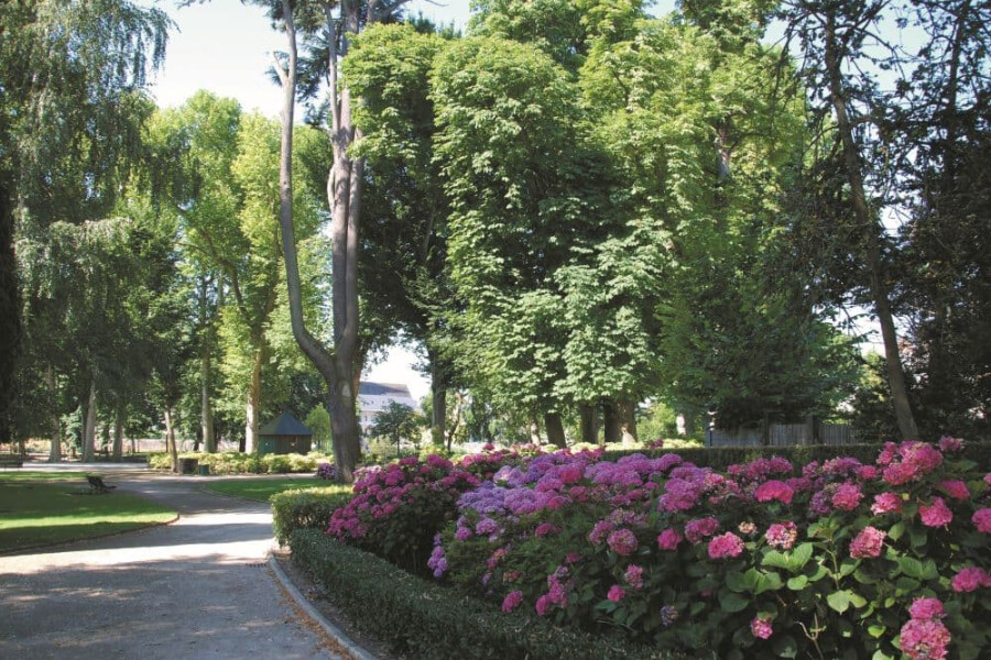 residence-senior-romorantin.jpg