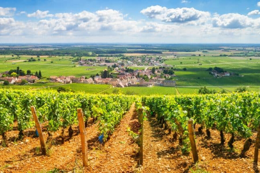 residence-senior-beaune.jpg