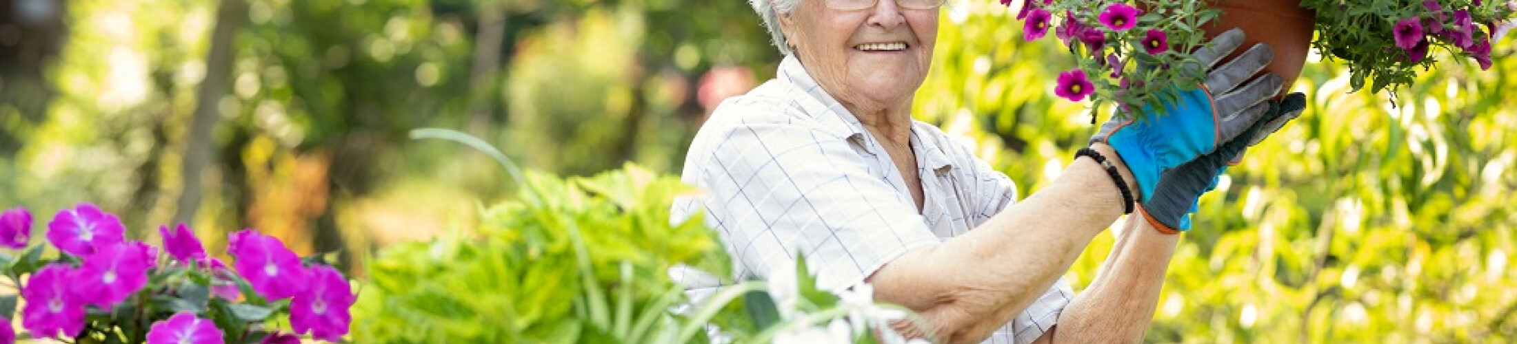 Personne âgée en train de jardiner 