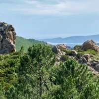 Résidences senior en Corse