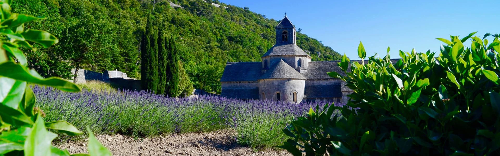 résidences services seniors Domitys dans la region de Provence-Alpes-Côte d'Azur