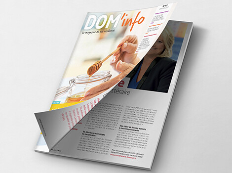 Magazine Dom Info DOMITYS